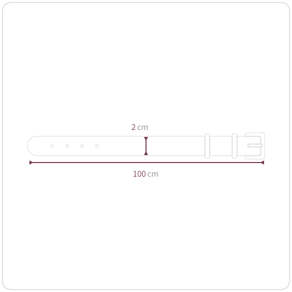 シルバーバックルベルト2cm | ファッション通販サイト NUGU