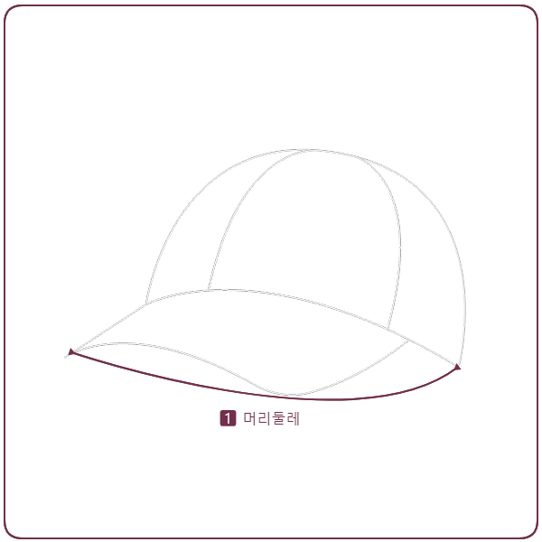 韓国限定レーベル] EXPEDITION EARMUFF CAP_ノースフェイス